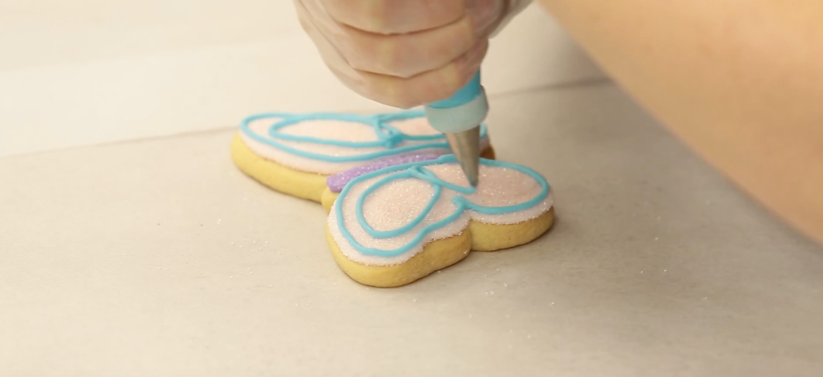 Butterfly Cookie Decorating Tips with Barbee Cookies