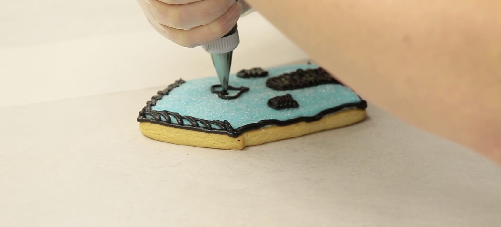 Birdhouse Cookie Decorating Tips with Barbee Cookies