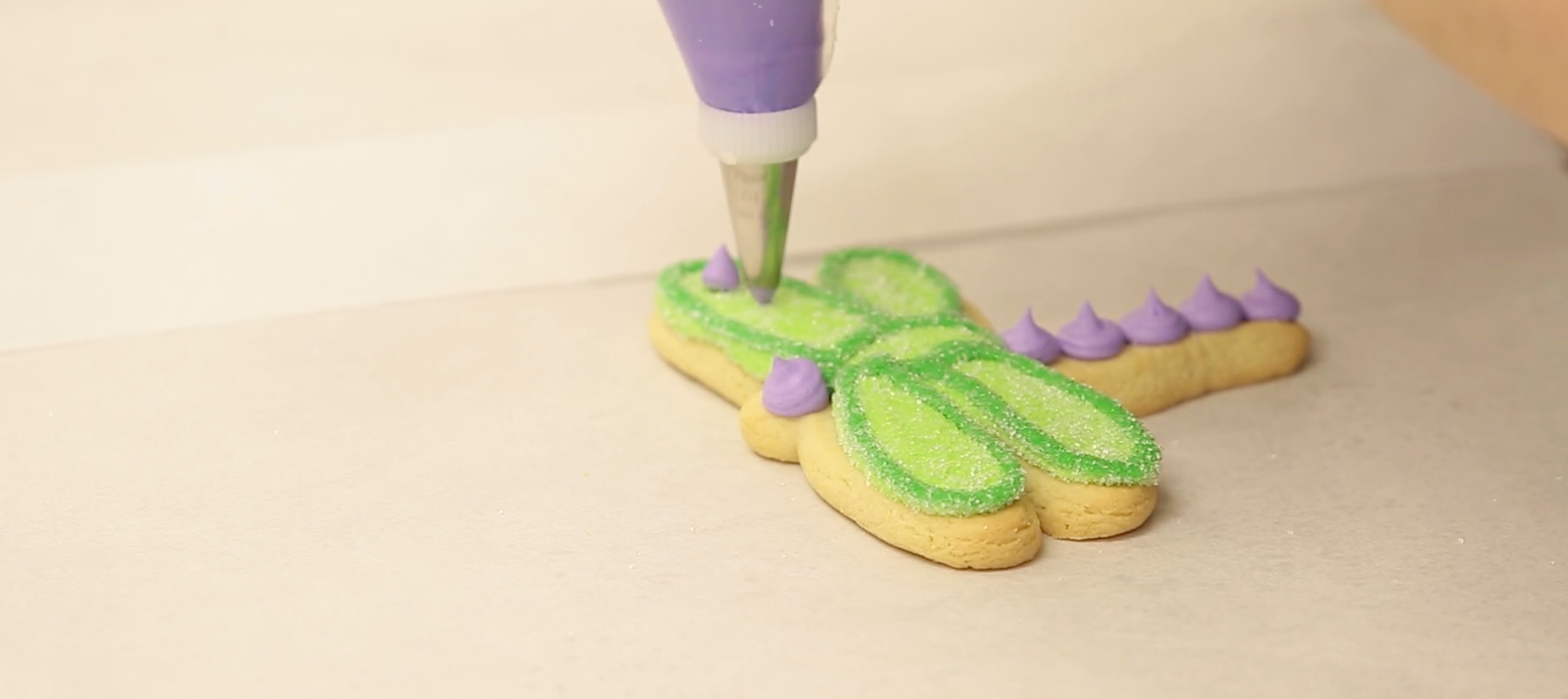 Dragonfly Cookie Decorating Tips with Barbee Cookies